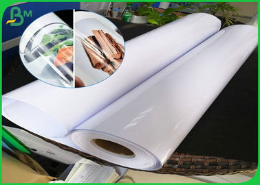 ضد آب کارتن رول، 150 gsm 190gsm بالا براق RC کاغذ رول کاغذ با پشت مات برای رنگدانه جوهر